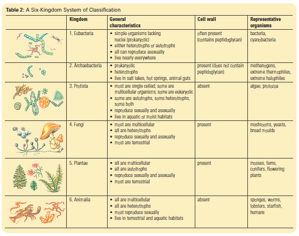 Taxonomy Of Living Things Pdf